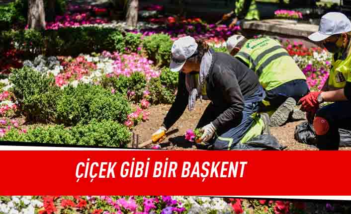 Çiçek gibi bir Başkent