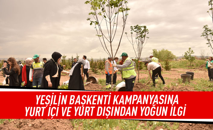 Yeşili Başkenti kampanyasına yurt içi ve yurt dışından yoğun ilgi