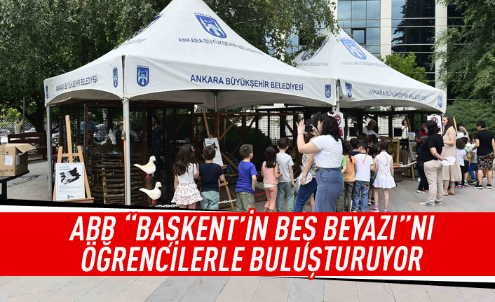 Başketnin beş beyazı öğrencilerle buluşuyor