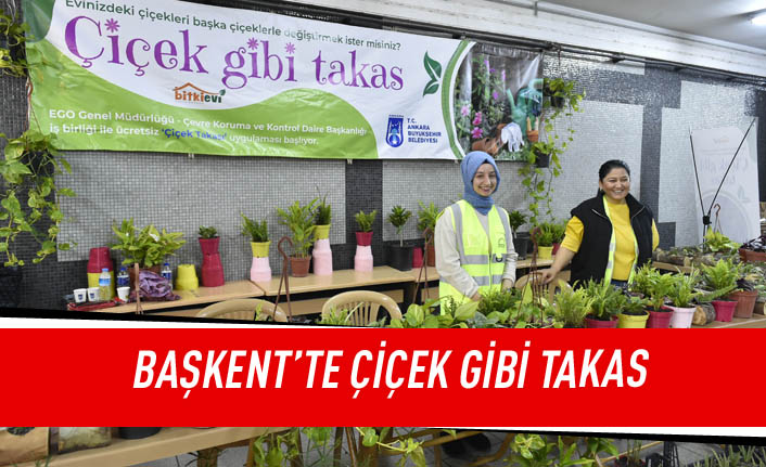 Başkent'te çiçek gibi takas