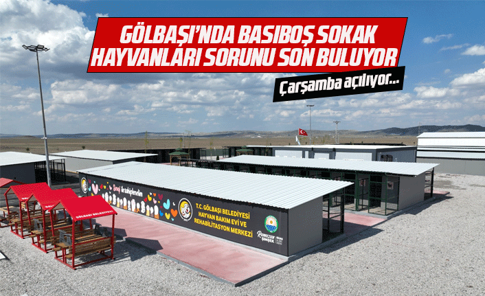 Gölbaşı sokak hayvanları sorunundan nihayet kurtuluyor