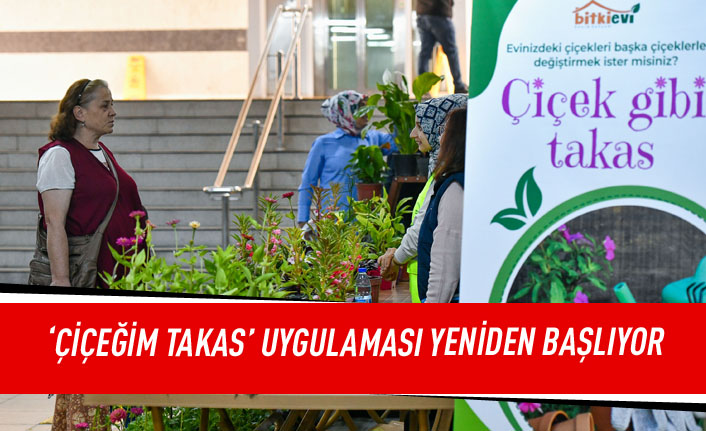 'Çiçeğim Takas' uygulaması yeniden başlıyor