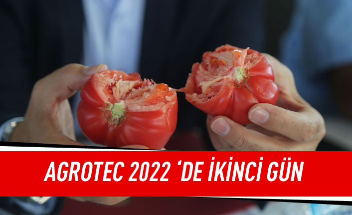 Gölbaşı'nda düzenlenen AGROTEC 2022 25. uluslararası tarım fuarı'nın ikinci gününde  en iyi elma en iyi domates yetiştiriciliği yarışmaları düzenlendi