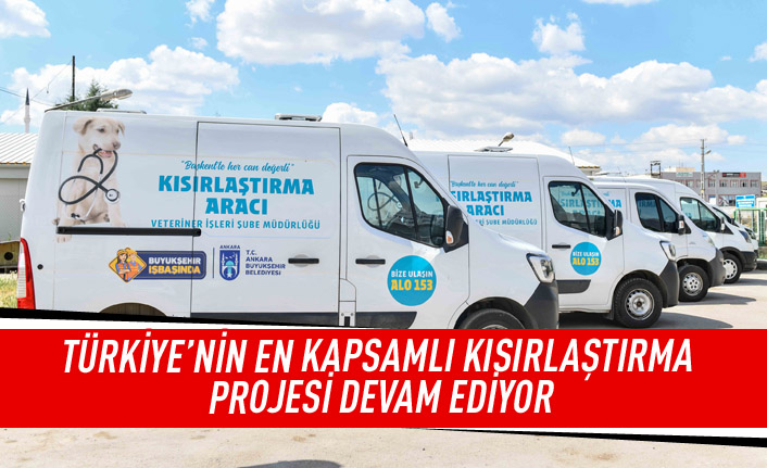 Türkiye'nin en kapsamlı kısırlaştırma projesi devam ediyor