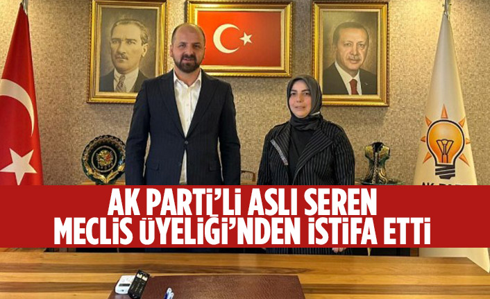 AK Parti’li Seren Meclis Üyeliği’nden istifa etti