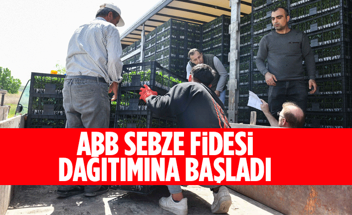 ABB SEBZE FİDESİ DAĞITIMINA BAŞLADI