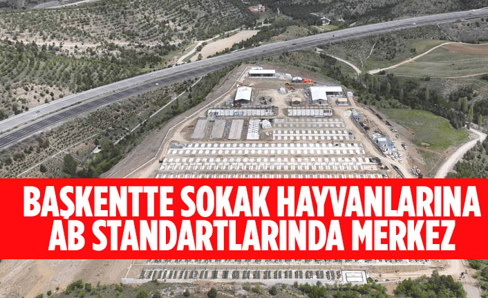 BAŞKENTTE SOKAK HAYVANLARINA AB STANDARTLARINDA MERKEZ