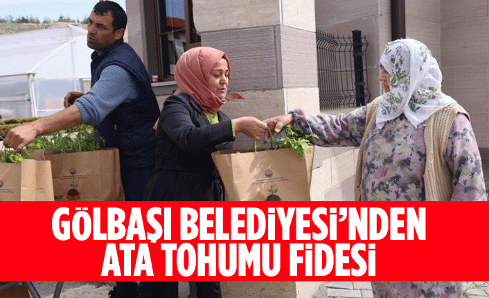 Gölbaşı Belediyesi’nden ata tohumu fidesi