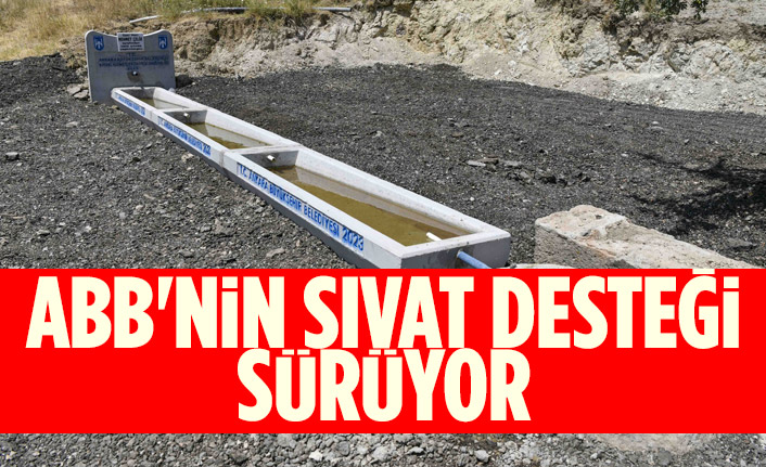 ABB'NİN SIVAT DESTEĞİ SÜRÜYOR