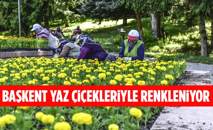 BAŞKENT YAZ ÇİÇEKLERİYLE RENKLENİYOR