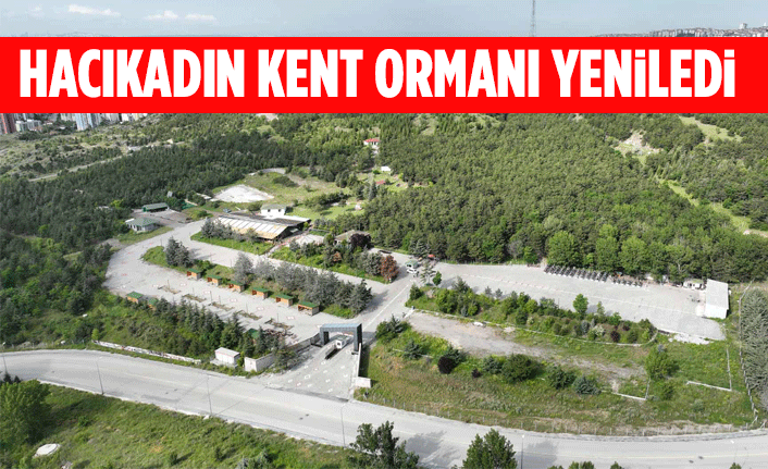 HACIKADIN KENT ORMANI YENİLEDİ