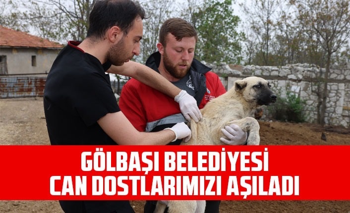 *GÖLBAŞI BELEDİYESİ CAN DOSTLARIMIZI AŞILADI*