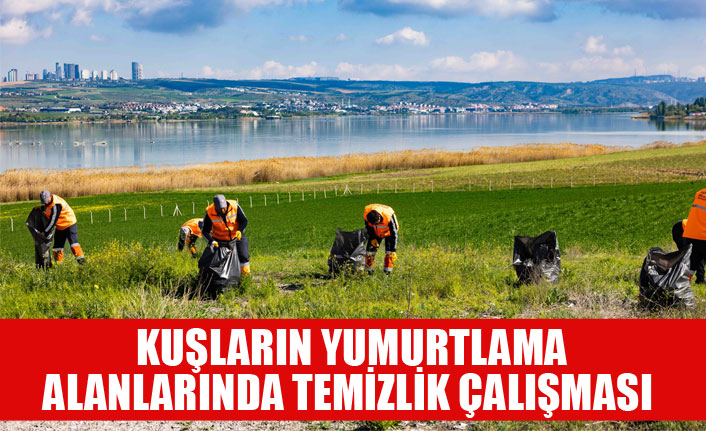 GÖLBAŞI BELEDİYESİNDEN KUŞLARIN YUMURTLAMA ALANLARINDA TEMİZLİK ÇALIŞMASI