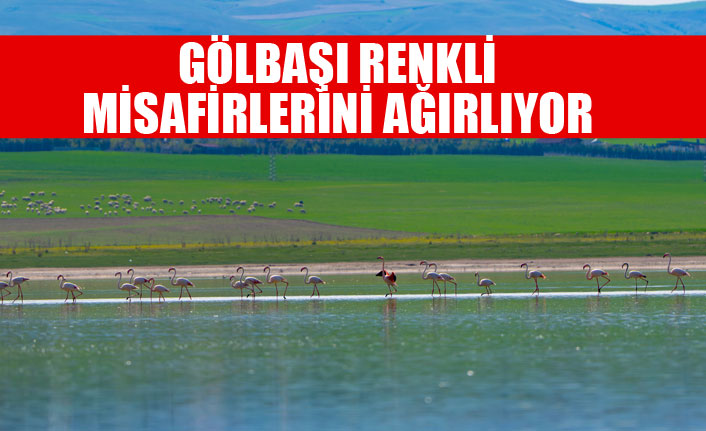 GÖLBAŞI RENKLİ MİSAFİRLERİNİ AĞIRLIYOR