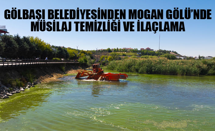 GÖLBAŞI BELEDİYESİNDEN MOGAN GÖLÜ’NDE MÜSİLAJ TEMİZLİĞİ VE İLAÇLAMA