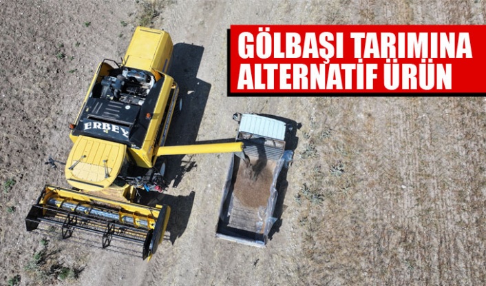 KARABUĞDAYIN İLK HASADI GERÇEKLEŞTİ