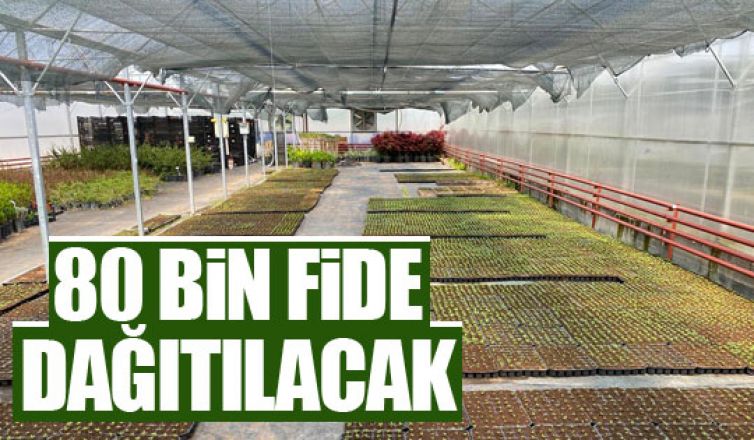 80 bin fide dağıtılacak!