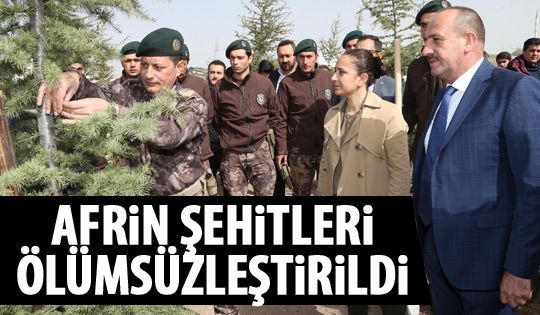 Afrin şehitlerinin isimleri yaşatılacak