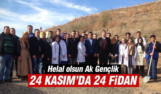 Ak Gençlik 24 Kasım'da 24 fidan dikti