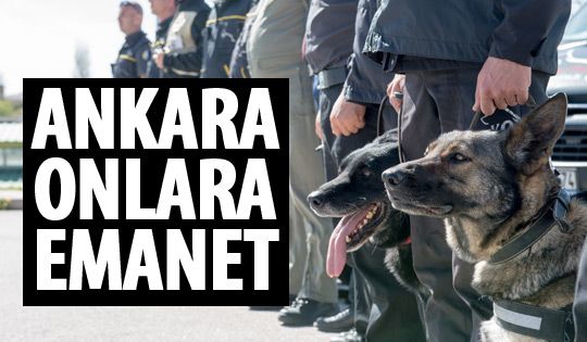 Ankara'nın güvenliğinde K-9 köpeklerinin önemi