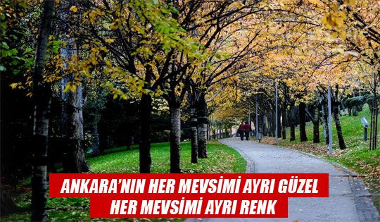   -ANKARA'NIN PARKLARINDA SONBAHAR BAŞKA GÜZEL…