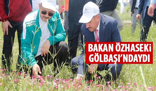 Bakan Özhaseki'den Mogan denetimi