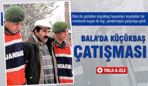 Bala’da küçükbaş çatışması çıktı