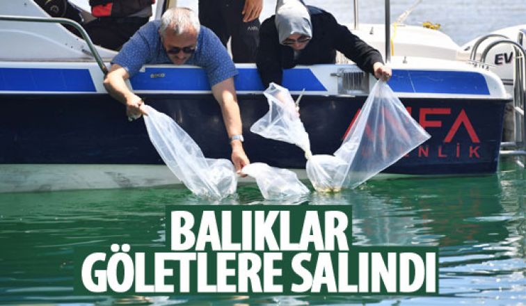 Balıklar göletlere salındı