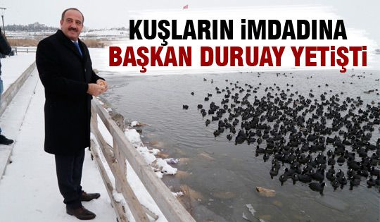 Başkan Duruay kuşlara yem attı