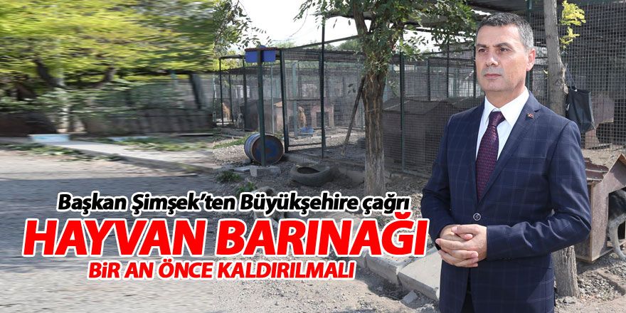 Başkan Şimşek: Hayvan barınağı bir an önce taşınmalı