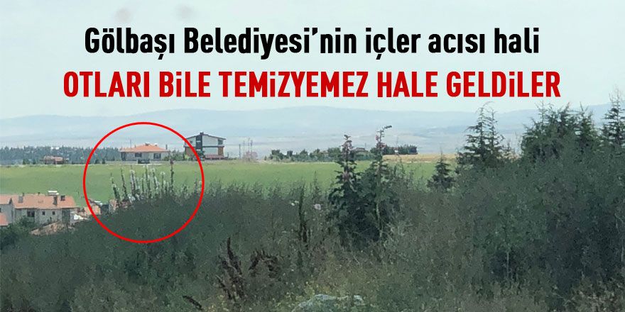 Belediye otları bile temizleyemiyor