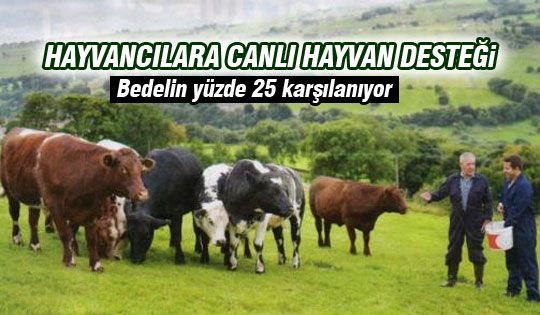 Büykşehir'den hayvan desteği