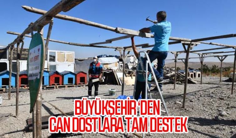 Büyükşehir can dostlara destek olmaya devam ediyor