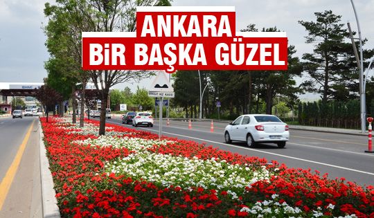 Büyükşehir dört bir yanı çiçeklerle süsledi