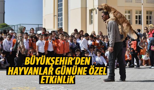 Büyükşehir'den Hayvanları Koruma Günü etkinliği