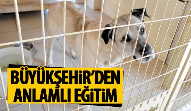 Büyükşehir'den Pet-Shop eğitimi