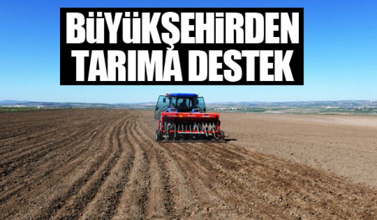 Büyükşehire ait arazilerde üretim başlıyor!