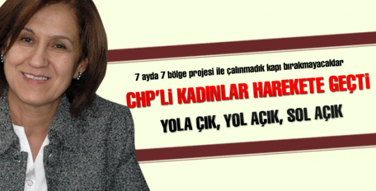 CHP'li kadınlar harekete geçti