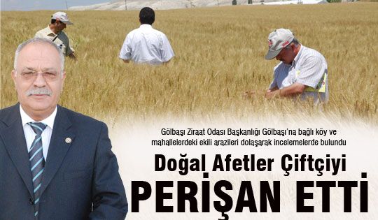 Doğal Afetler Çiftçiyi Perişan Etti