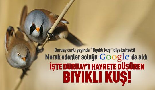 Duruay: Gölbaşı'nı kuş cenneti yapacağız