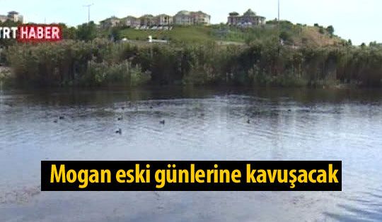 Duruay: Mogan eski günlerine kavuşacak