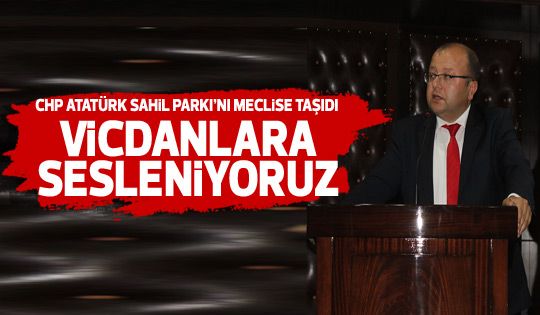 Elikesik mecliste Atatürk Sahip Parkı için konuştu