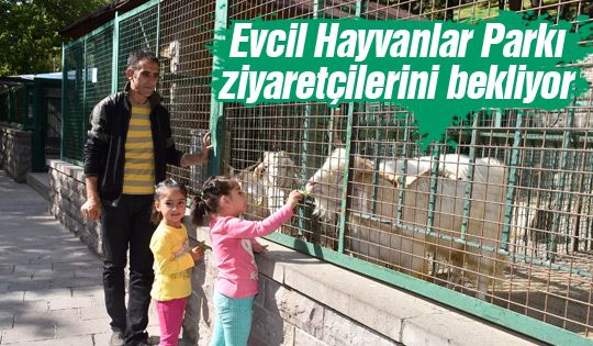 Evcil Hayvanlar Parkı ziyaretçilerini bekliyor