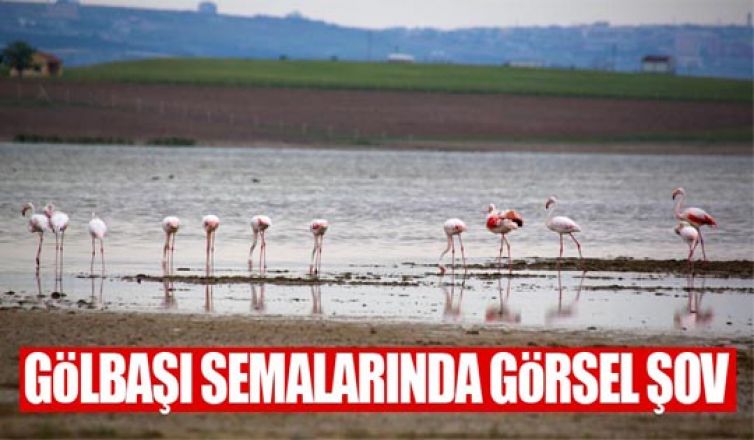 Flamingolardan Gölbaşı semalarında görsel şölen