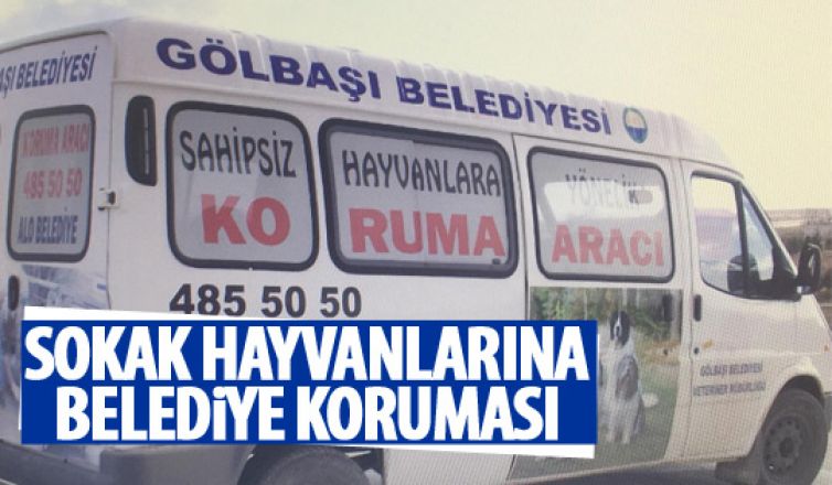 Gölbaşı belediyesi hayvanları koruma altına alıyor