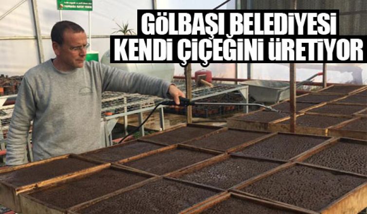 Gölbaşı Belediyesi kendi çiçeğini kendi üretiyor!