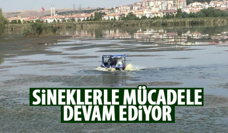 Gölbaşı Belediyesi sineklerle mücadele ediyor