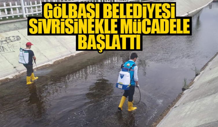 Gölbaşı Belediyesi sivrisinekle mücadele başlattı