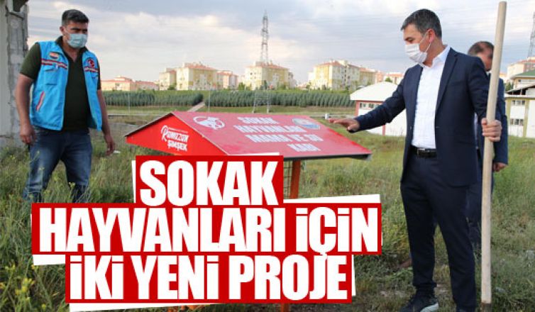 Gölbaşı Belediyesi sokak hayvanları için yeni projeleri hayata geçiriyor