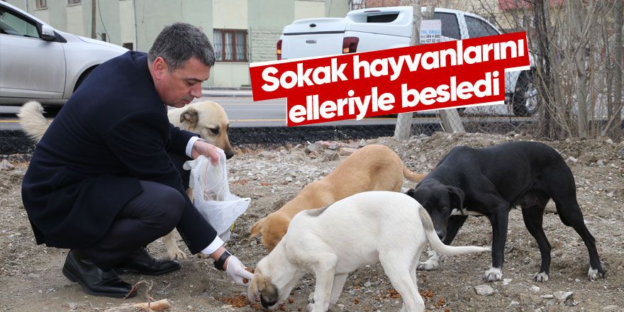 Gölbaşı Belediyesi sokak hayvanlarını unutmadı